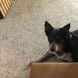 Meet your Posher, Conor